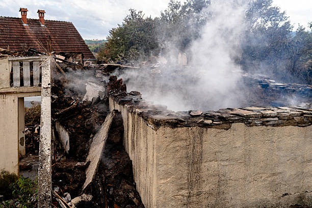 Affordable Fire Damage Removal solutions in Wayne, OH