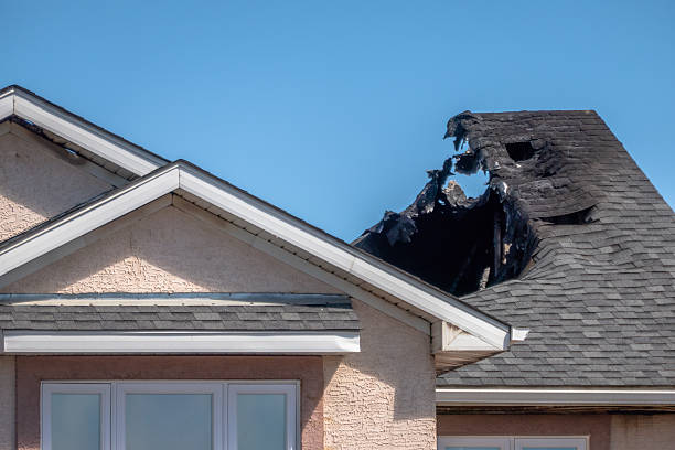 Top rated local Fire Damage Removal specialists in Wayne, OH